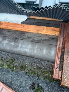 WhatsApp Image 2026-01-15 at 09.34.49 (1)