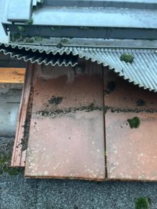 WhatsApp Image 2026-01-15 at 09.34.49