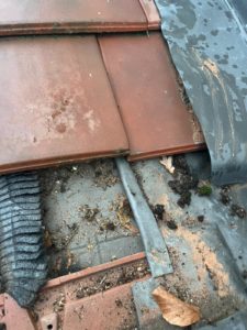 WhatsApp Image 2026-01-15 at 09.34.49 (3)