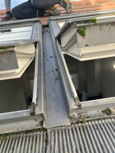 WhatsApp Image 2026-01-20 at 13.12.15 (2)