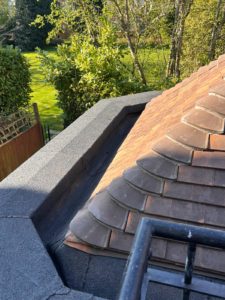 WhatsApp Image 2026-03-19 at 14.55.29